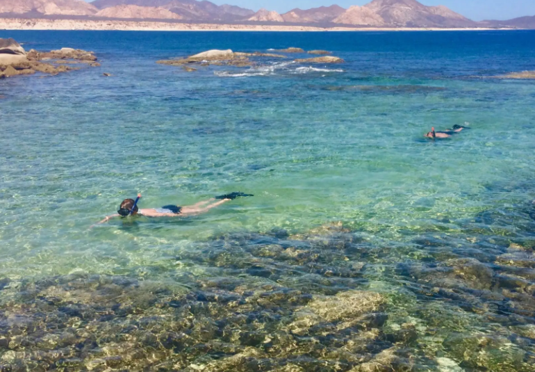 Advisor in Cabo: Scuba Diving — Bay, Corridor, Night & Cabo Pulmo