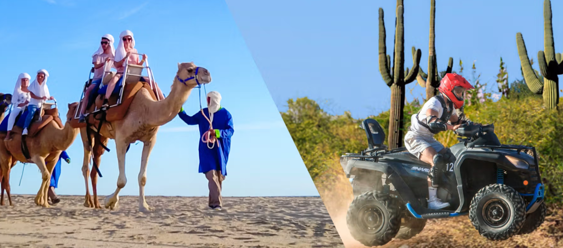Cabo Adventures: Camels + ATV + Lunch