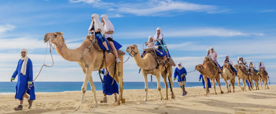 Cabo Adventures: Camel Outback Ride