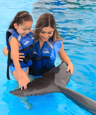 Cabo Dolphin Encounter