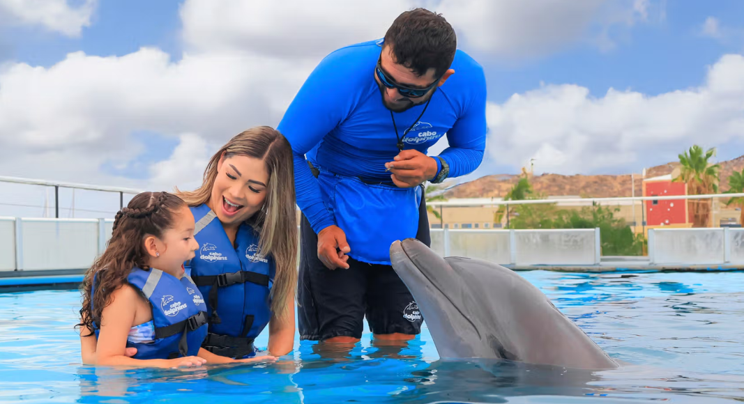 Family Cabo Dolphin Experience