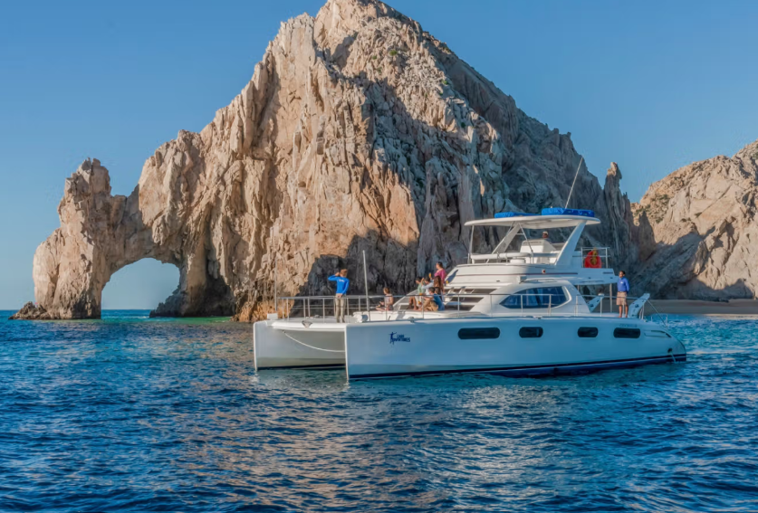 Cabo Adventures: Luxury Whale Watching