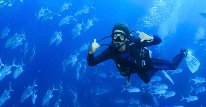 Cabo Adventures: Scuba Diving at Land's End