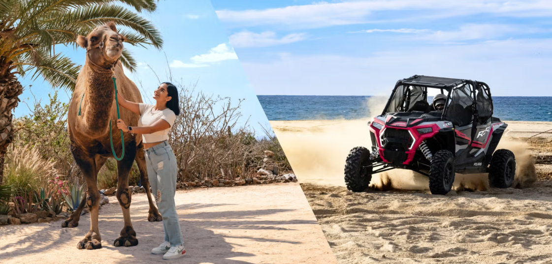Cabo Adventures: UTV Off-Road + Camel Tour