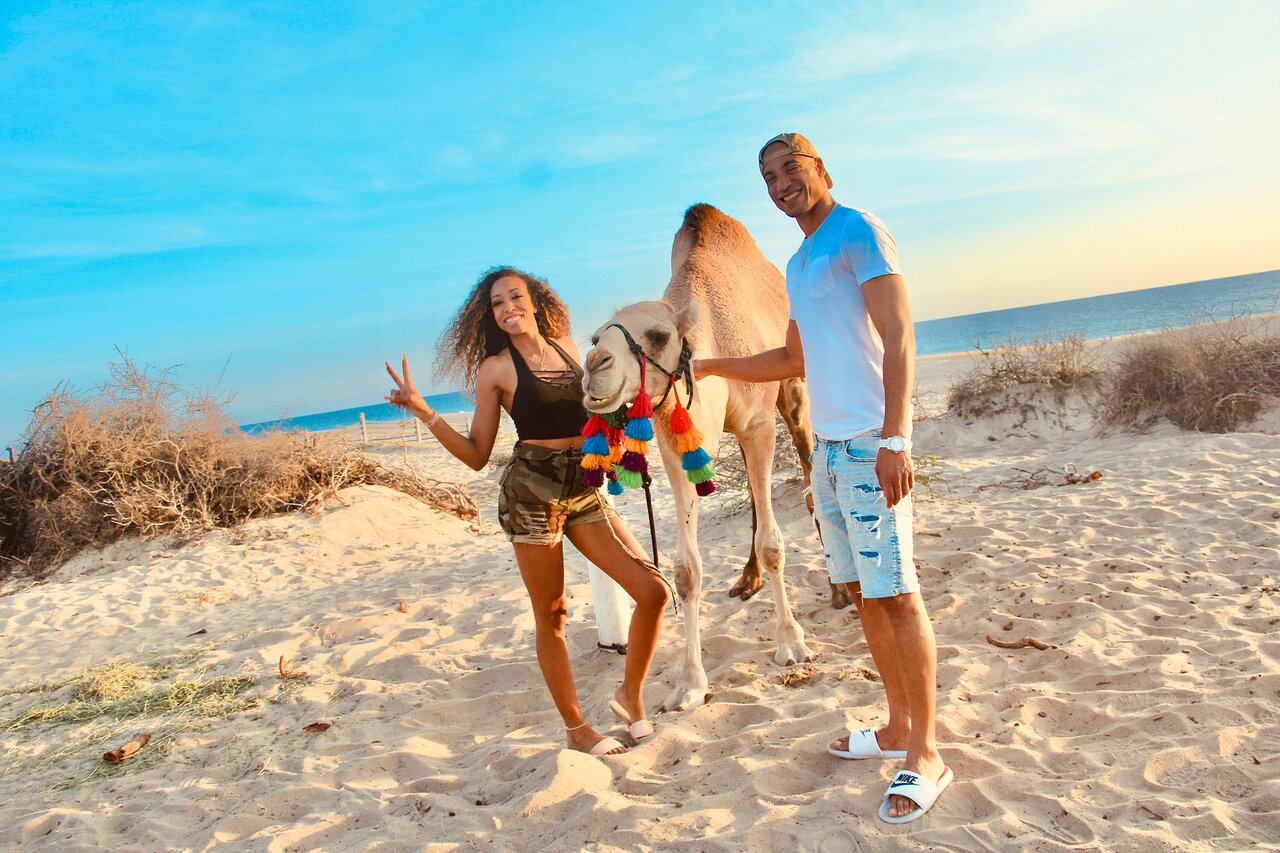 Cactus Tours: Camel Ride