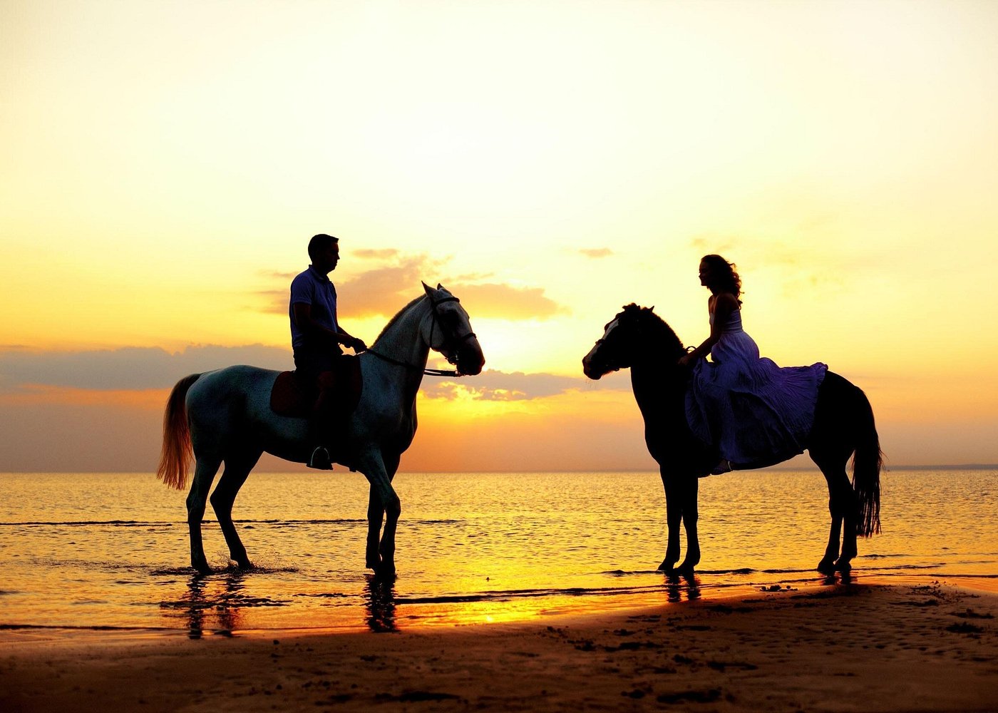 Picacho Adventures: Romantic Horseback & Sunset Dinner