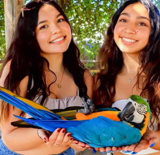 Wild Canyon Animal Sanctuary Tour