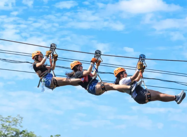 Wild Canyon Zipline Tour — 8 Lines, 4.5km, Longest in Baja